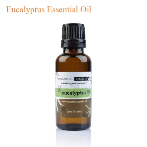 Eucalyptus Fragrance Oil 100ml