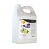 Spa Redi Callus Remover Lemon & Lime Case (4gl)