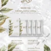 JNS New York 4 Steps Deluxe Pedi (100pcs/Cs)